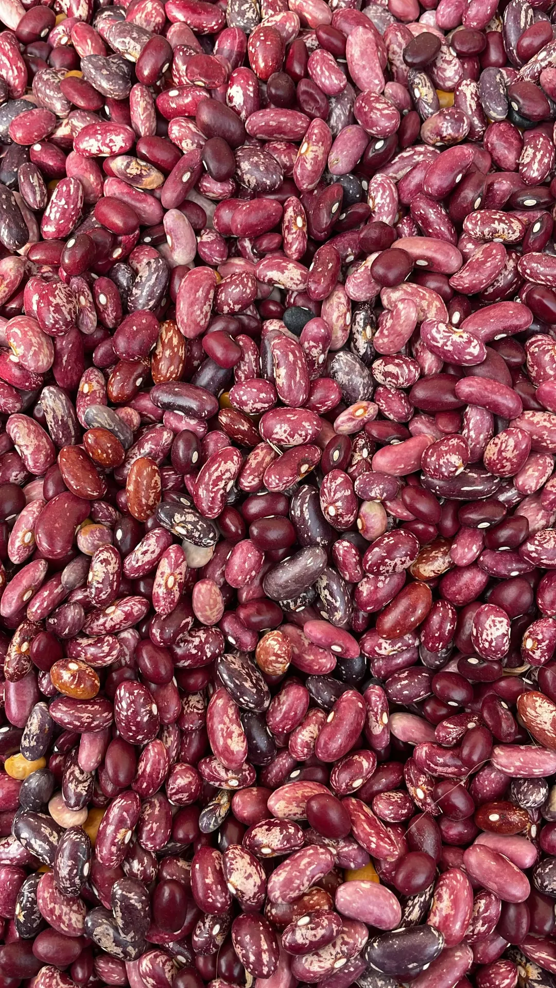 Kashmiri Rajma (1 kg)