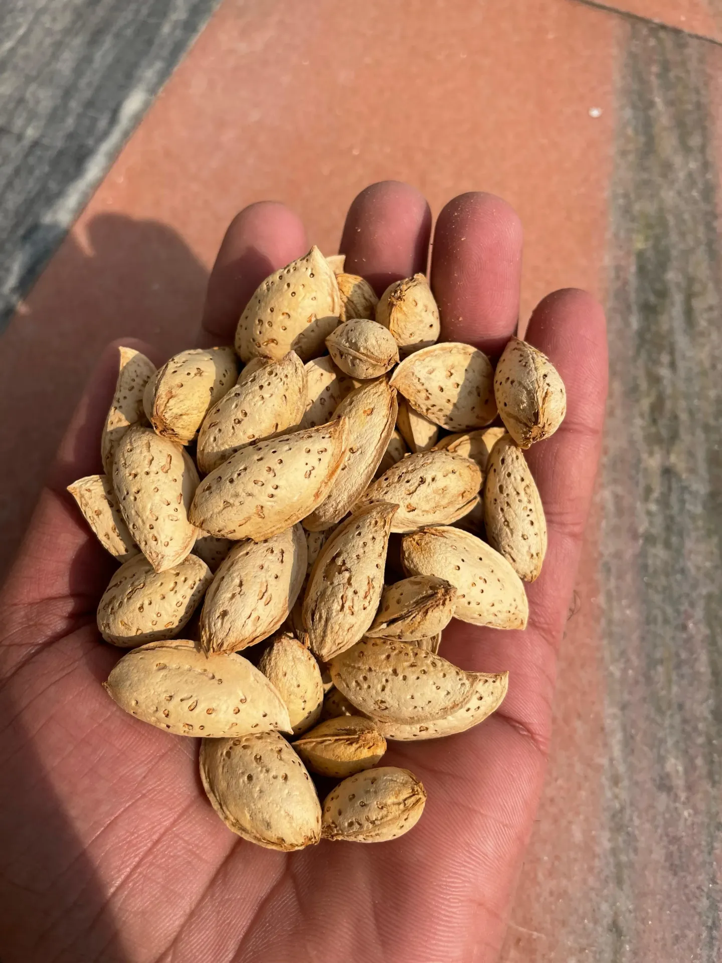 Shelled Badam (1 kg)