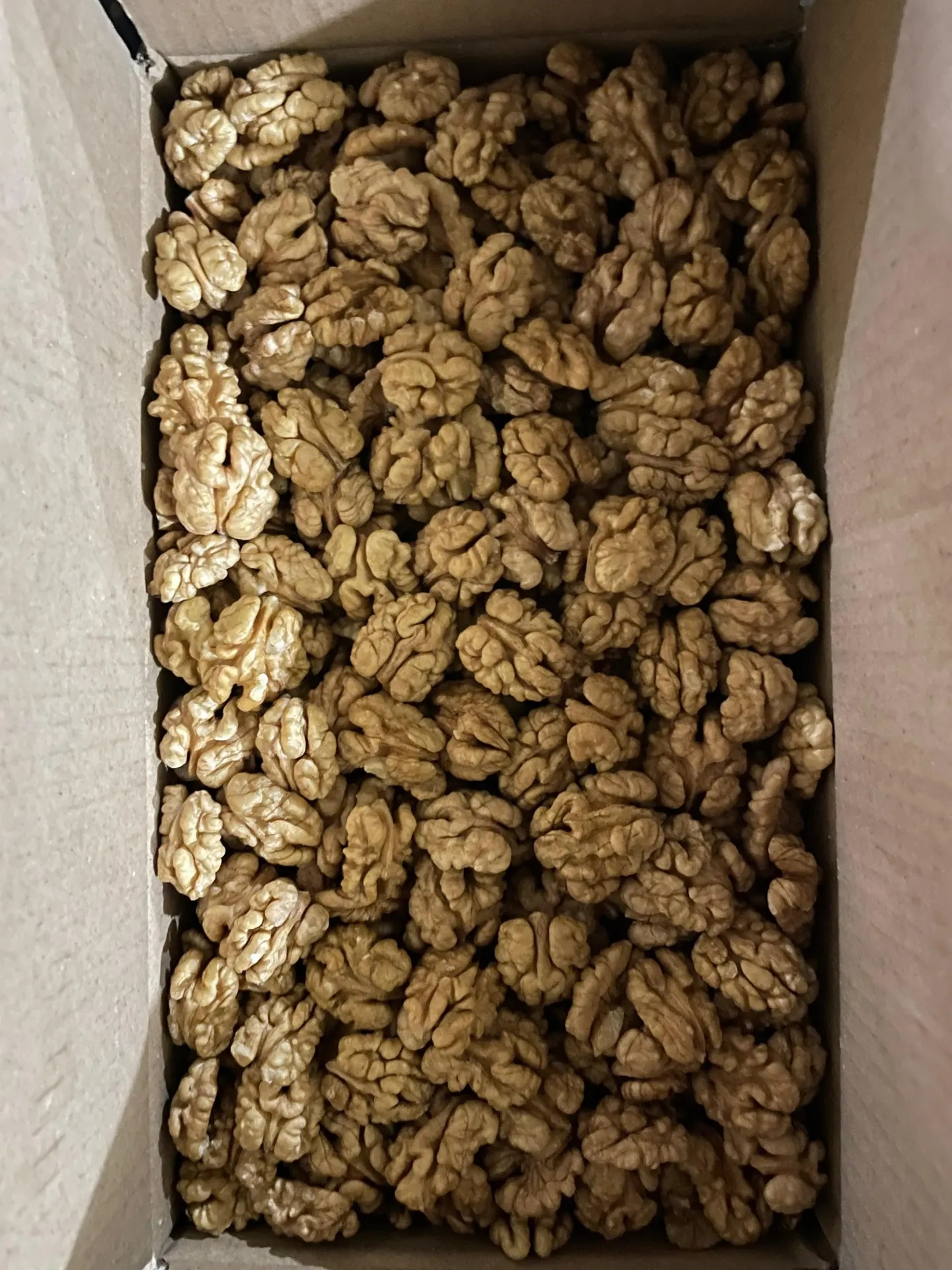 Walnut Kernels (1 kg)